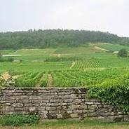 gevrey chambertin vin