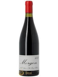 morgon vin