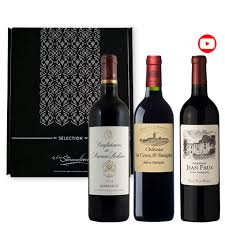 cadeau dégustation vin bordeaux
