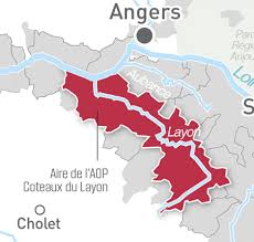 vin coteaux du layon