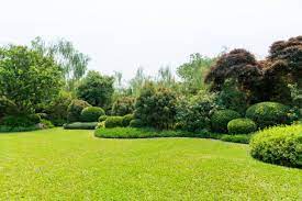 jardin