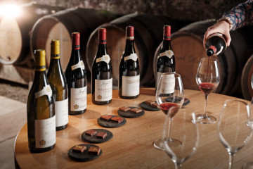 degustation des vins