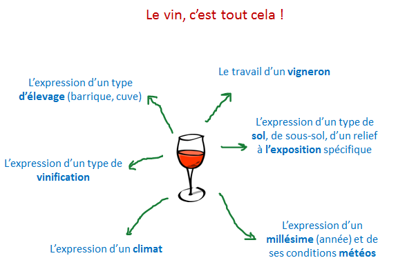 deguster du vin